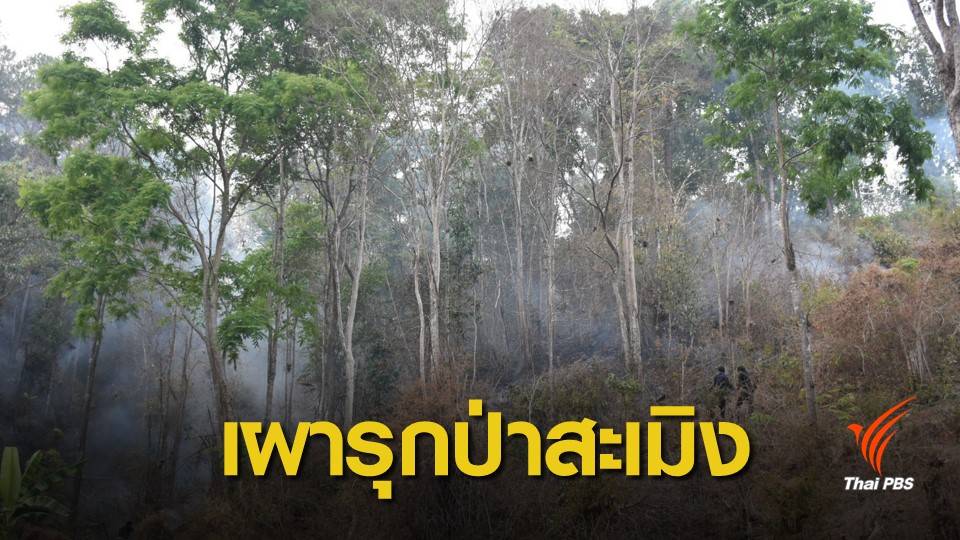 ฝุ่น PM2.5 : วันแรก ! ชุดเฉพาะกิจตรึงพื้นที่เจอลอบเผาป่าสะเมิง 100 ไร่