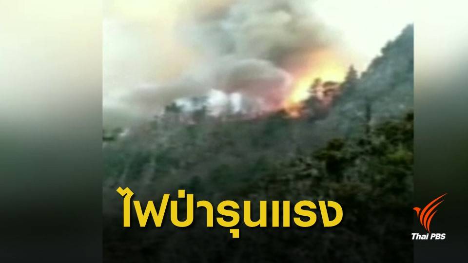 ดับเพลิงจีน 30 คนเสียชีวิต ขณะเข้าสกัดไฟป่า