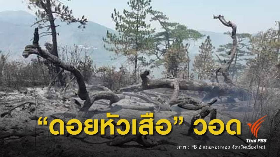 ไฟไหม้ป่ายอดดอยหัวเสือ อุทยานแห่งชาติดอยอินทนนท์