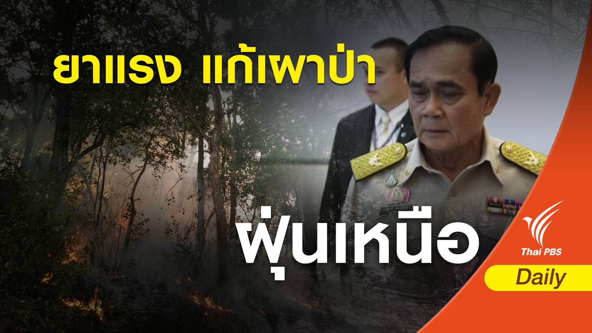 ฝุ่นPM2.5 "ประยุทธ์" สั่งใช้กฎหมายจับมือเผาป่าวอด 1.2 แสนไร่