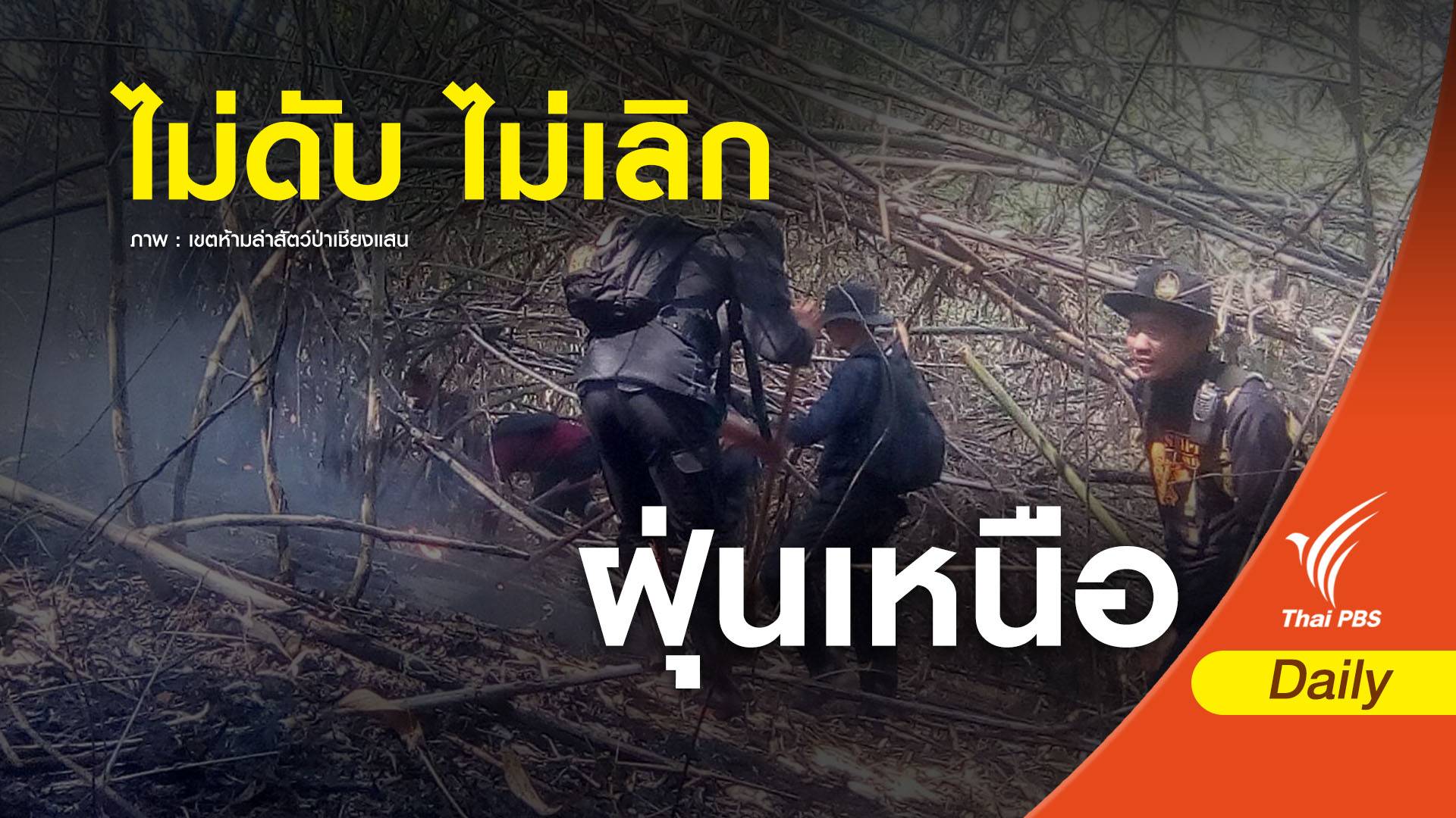 "8 ชีวิต สู้ไฟป่า 5 พันไร่" เจ้าหน้าที่เขตห้ามล่าสัตว์ป่าเชียงแสน