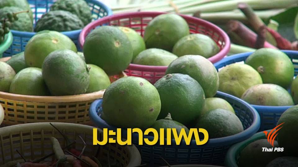 ปรับตัวใช้มะม่วงเบาแทนมะนาวราคาแพง