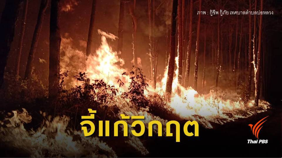 ฝุ่นPM2.5 : กสม.ออกแถลงการณ์ จี้แก้หมอกควันไฟป่าภาคเหนือ