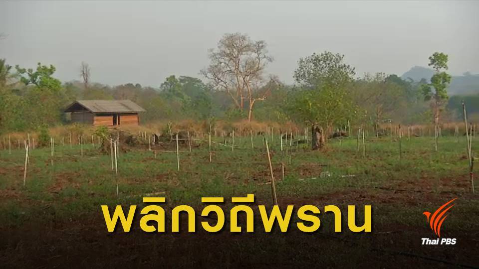 "พราน" เปลี่ยนวิถีชีวิตมาทำเกษตร หลังคดีล่าเสือดำป่าทุ่งใหญ่