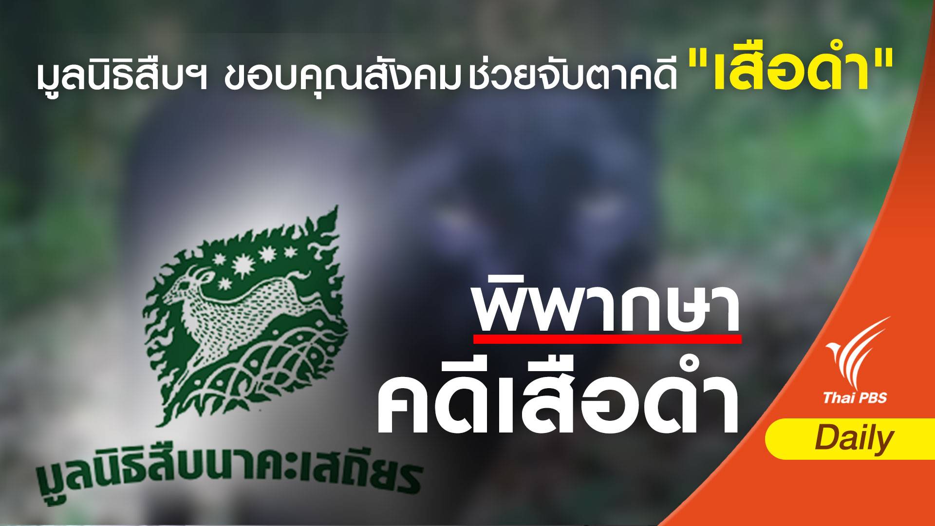มูลนิธิสืบฯ ขอบคุณ "สังคม- จนท." จับตาคดี "เสือดำ"