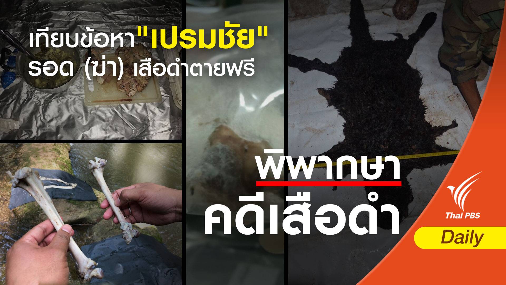 เทียบข้อหา "เปรมชัย" รอด (ฆ่า) เสือดำตายฟรี