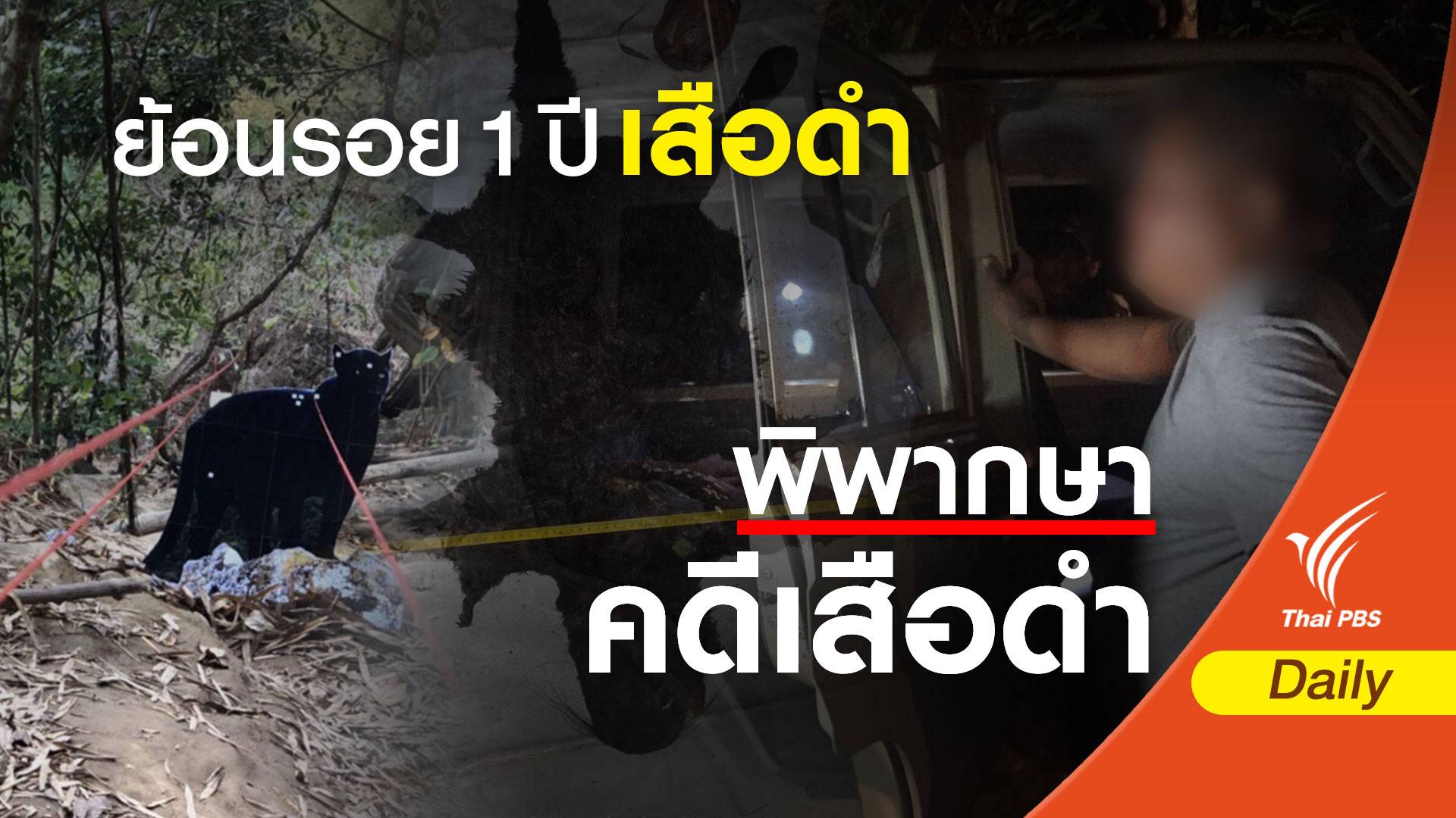 1 ปีคดีประวัติศาสตร์ "ฆ่าเสือดำ" ทุ่งใหญ่