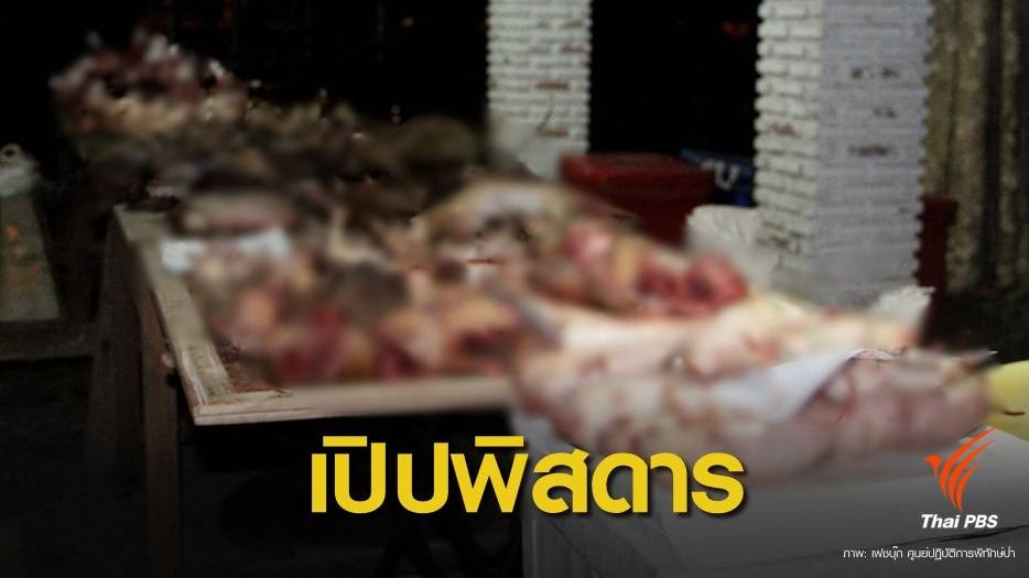 ตะลึง ! ซากสัตว์ป่าถูกชำแหละคาเขียง กลางตลาดดัง จ.เพชรบูรณ์