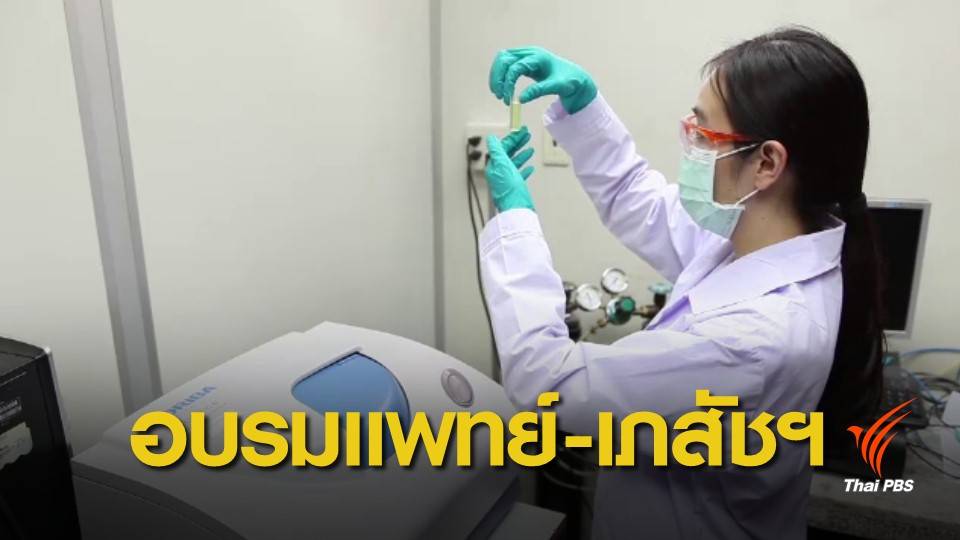 เตรียมอบรมกัญชารักษาโรค กลุ่ม “แพทย์ เภสัชกร” 19-20 มี.ค.