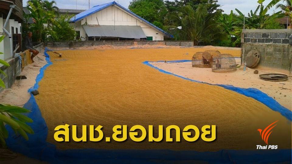 ไม่ได้ไปต่อ ! สนช.ยอมพับ พ.ร.บ.ข้าว รอรัฐบาลใหม่