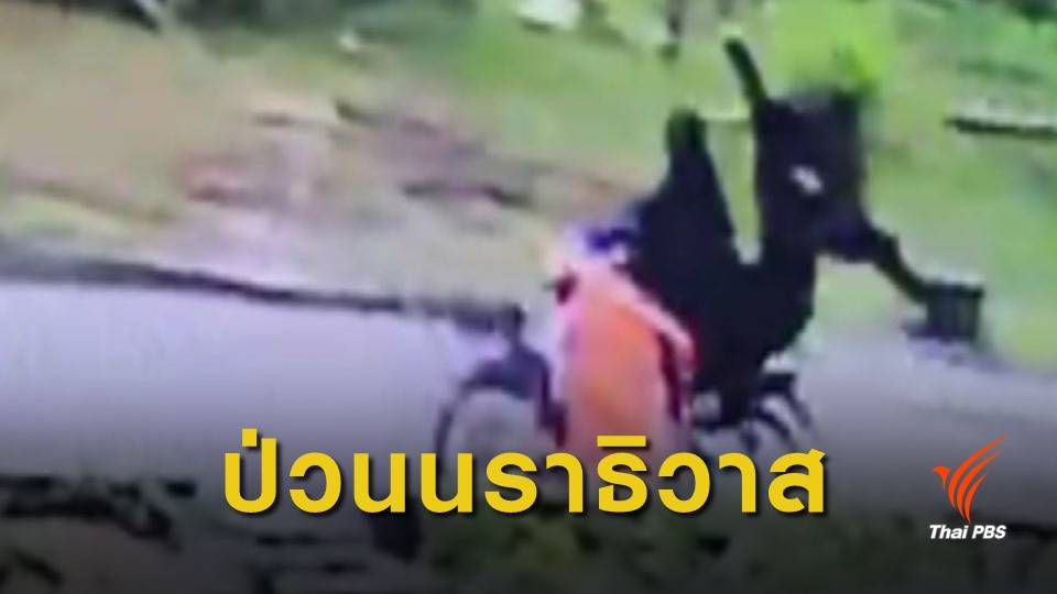 เร่งติดตามมือปาระเบิดใส่ที่พักตำรวจยี่งอ