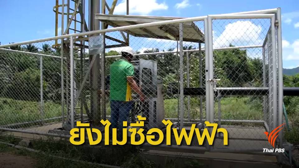 โรงงานผลิตน้ำมันปาล์ม หวัง กฟภ.รับซื้อกระแสไฟฟ้า