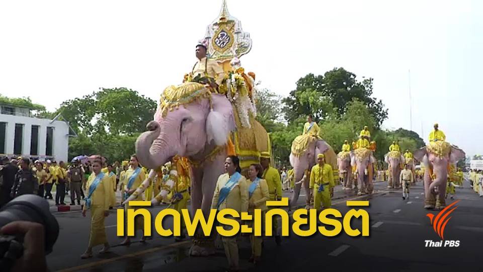 ช้างงาม 11 เชือกถวายพระพรชัยมงคล รัชกาลที่ 10
