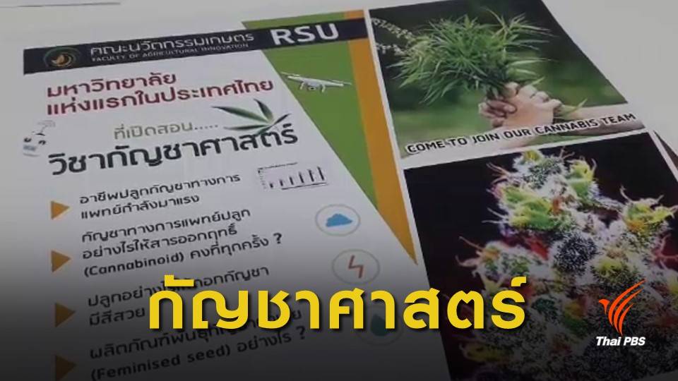 ม.รังสิต เปิดสอน "วิชากัญชาศาสตร์" นำความรู้ใช้ทางการแพทย์