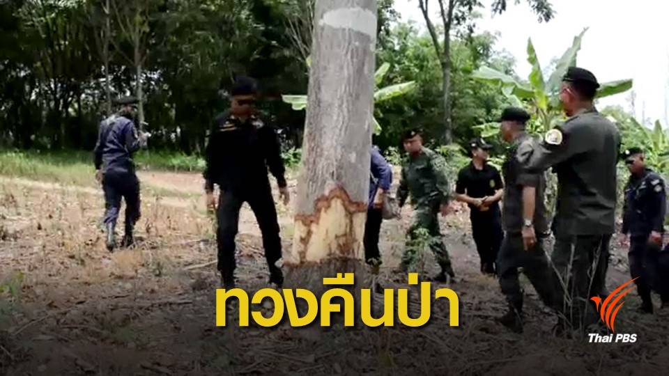 พยัคฆ์ไพรยึดคืนป่าสงวนน้ำโสม-นายูง 1,200 ไร่จากนายทุน