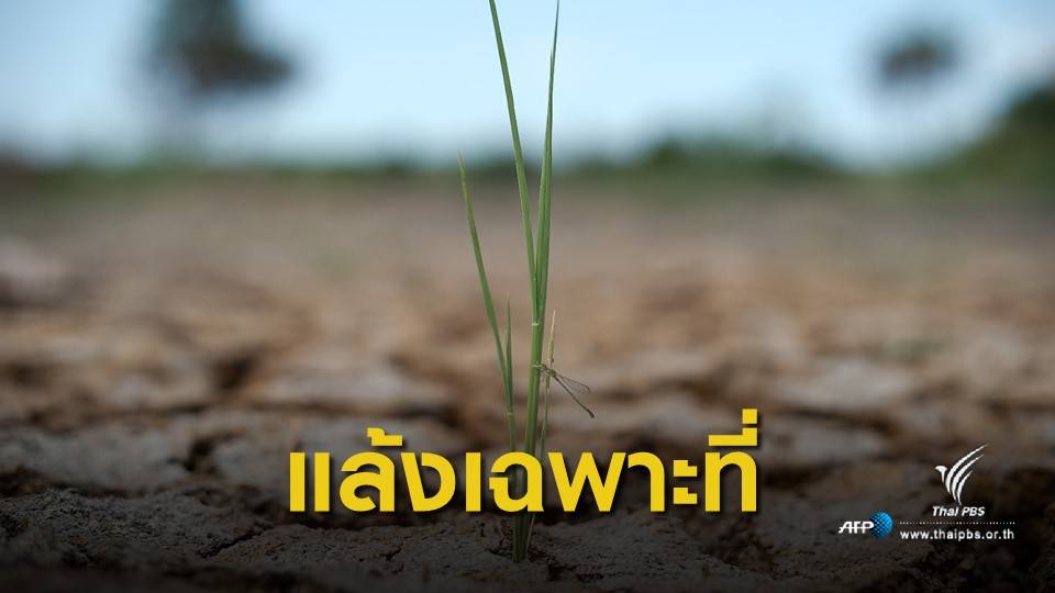 "เอลนีโญอ่อน" วิกฤตแล้งเฉพาะพื้นที่ ไร้ศึกแย่งชิงน้ำ