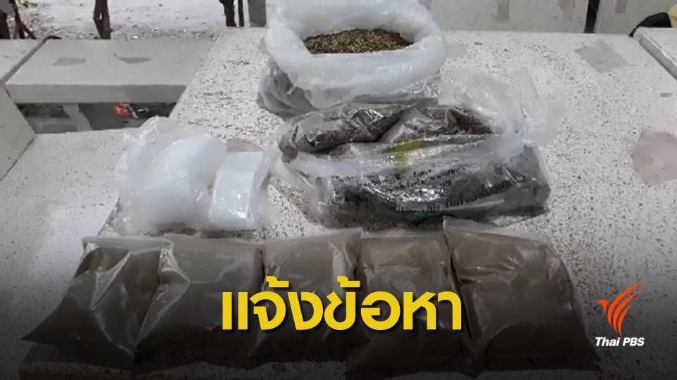 เตรียมแจ้งข้อหา ปธ.มูลนิธิข้าวขวัญ ผลิต-ครอบครองกัญชา