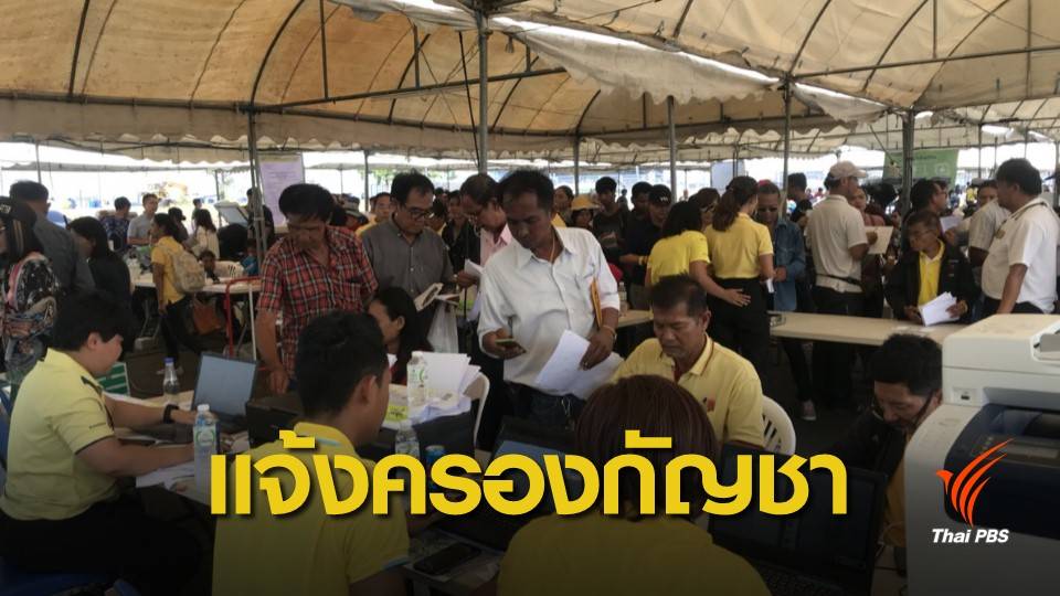 ปชช.ทยอยแจ้งครอบครองกัญชา "งานพันธุ์บุรีรัมย์" คาด 2 วัน มากกว่า 5,000 คน