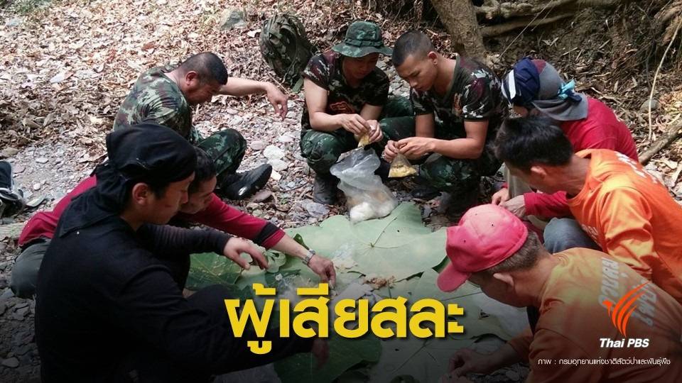 ไฟไม่ดับไม่กลับบ้าน! "โซเชียล" ให้กำลังทีมดับไฟป่าไม่หยุดสงกรานต์