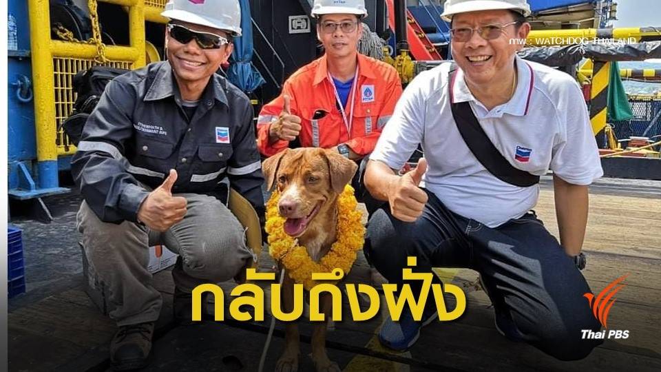 “บุญรอด” หมาลอยคอติดแท่นขุดเจาะกลางอ่าวไทย กลับถึงฝั่ง