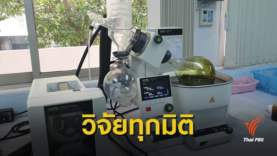 ม.รังสิต เปิดตัวสถาบันวิจัยกัญชาเพื่อการแพทย์