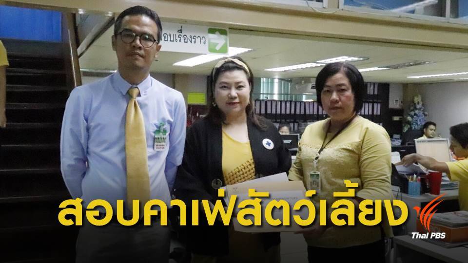 ร้อง "กรมปศุสัตว์-กทม." ตรวจสอบคาเฟ่แมว-สัตว์เลี้ยง