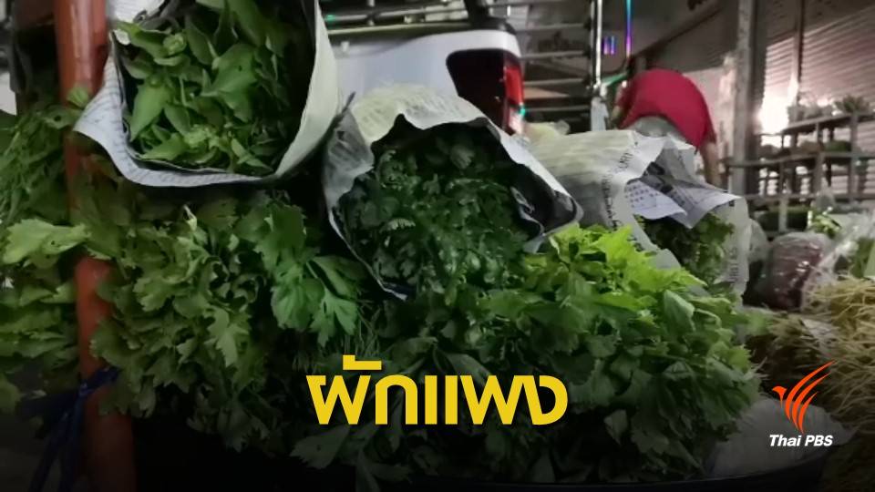 อากาศร้อน! ต้นหอม ผักชี ขึ้นฉ่าย ราคาทะลุ กก.ละ 90-120 บาท