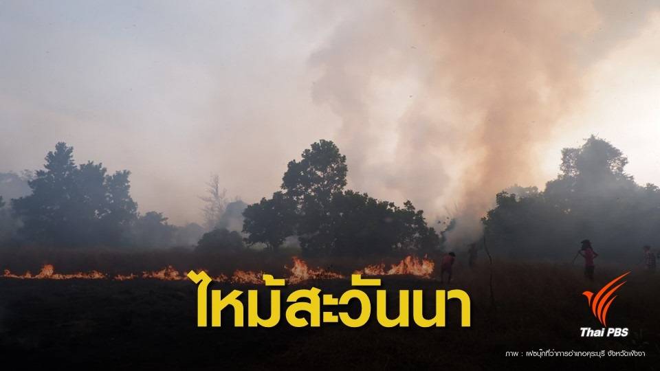  "ทุ่งหญ้าสะวันนา"อันซีนไทยแลนด์ ไฟไหม้เสียหาย 1,000 ไร่