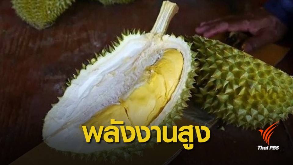 กรมอนามัย ชี้กินทุเรียน 4-6 เม็ด พลังงานสูงเทียบเท่ากินข้าวมันไก่ 2 จาน
