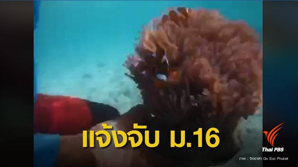 ทช.สั่งจับไกด์มือบอนล่า "ดอกไม้ทะเล" สัตว์ป่าคุ้มครองเกาะยอ