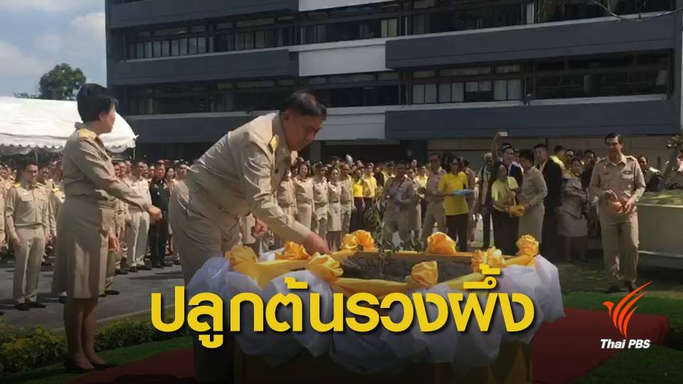 ผู้ว่าฯ กทม.นำปลูกต้นรวงผึ้ง ปฐมฤกษ์ ในโครงการ "1 จังหวัด 1 ถนนเฉลิมพระเกียรติ"