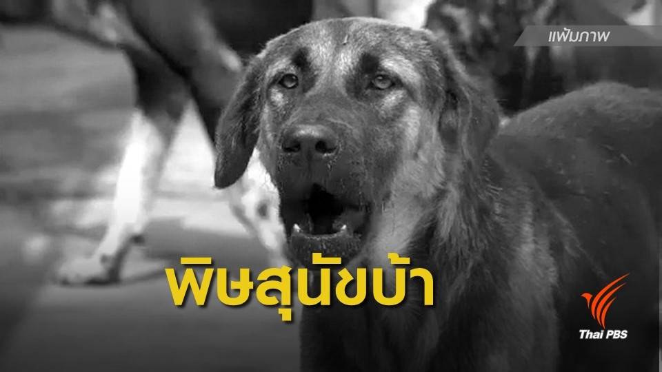 สุรินทร์พบผู้เสียชีวิต "โรคพิษสุนัขบ้า" รายแรกของปี 62