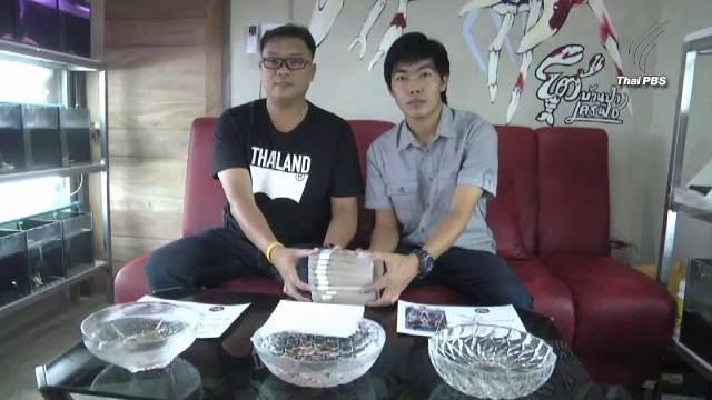 หนุ่มกำแพงแสนหอบเงิน 1 ล้านบาท ซื้อ "กุ้งเครฟิช" ตัวเดียว