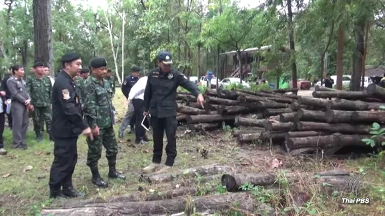 ชุดพยัคฆ์ไพร ยึดไม้สักเถื่อน 800 ท่อน
