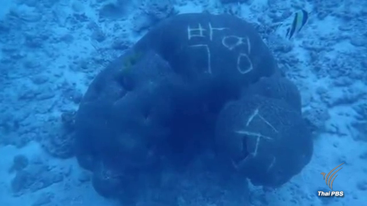 พบปะการังใต้ทะเลหมู่เกาะสิมิลันถูกขีดเขียนเป็นภาษาเกาหลี ผู้ประกอบการดำน้ำวอน จนท.ตรวจสอบ  