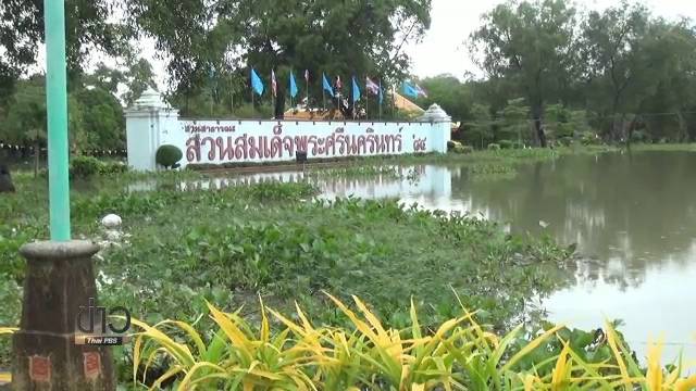 เตือนปชช.ระวัง ! จระเข้ 10 ตัว หลุดจากสวนสัตว์ทุ่งท่าลาด จ.นครศรีธรรมราช