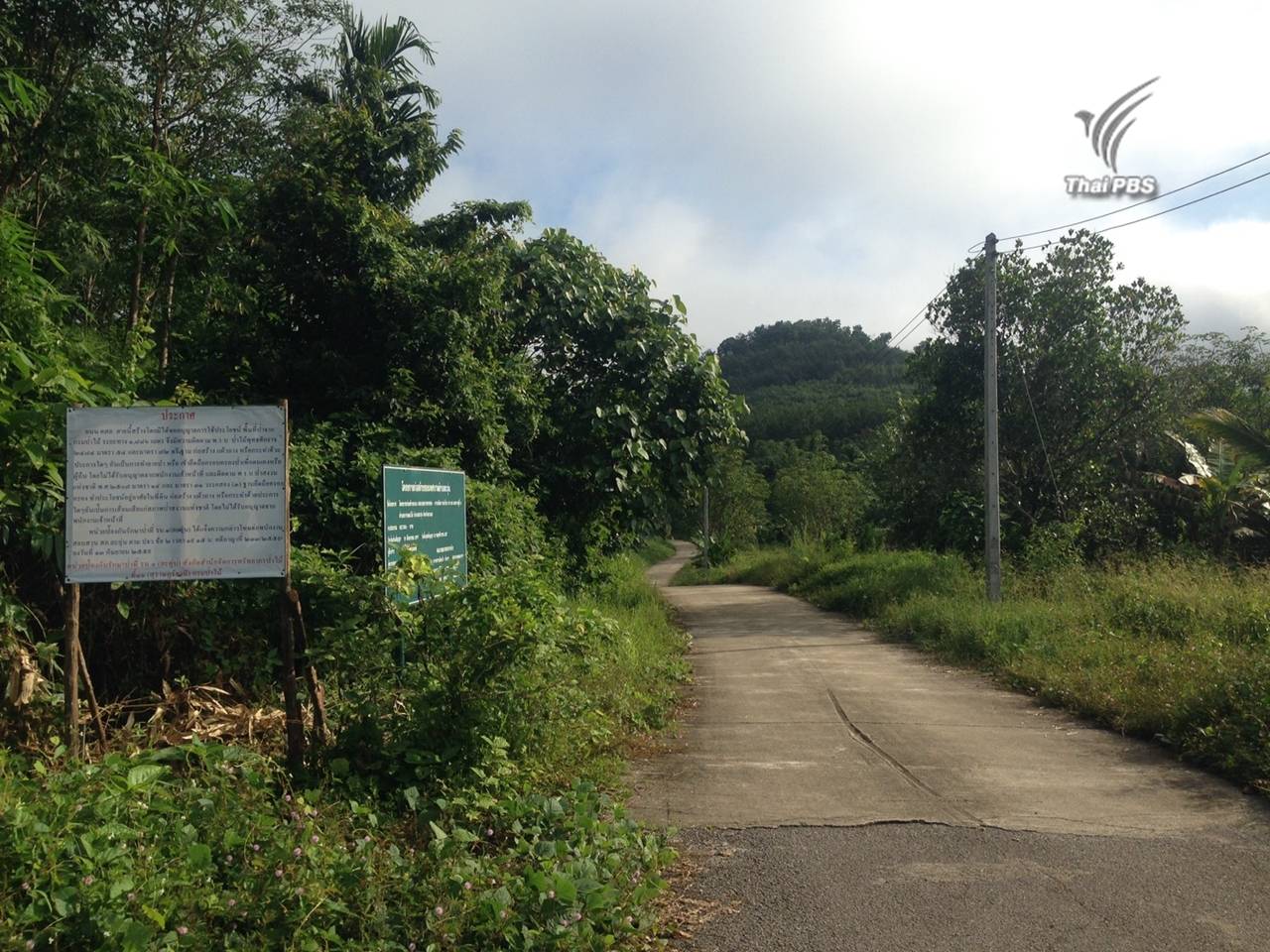 สั่งปิดถาวรถนนสร้างในเขตป่าสงวน จ.ระนอง ตรวจสอบท้องถิ่นเอื้อนายทุนบุกรุก