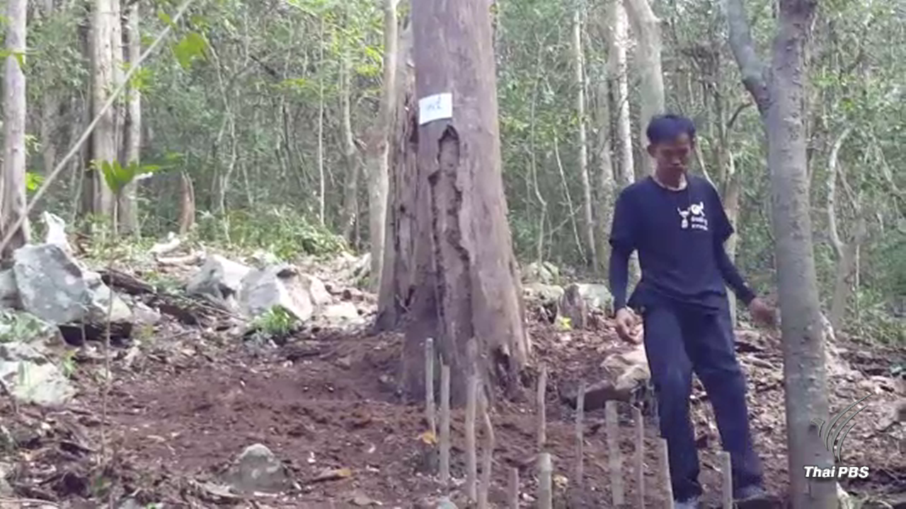 ถือฤกษ์ 14.09 น.พรุ่งนี้ บวงสรวงตัดไม้จันทน์หอม เตรียมงานพระราชพิธีถวายพระเพลิง