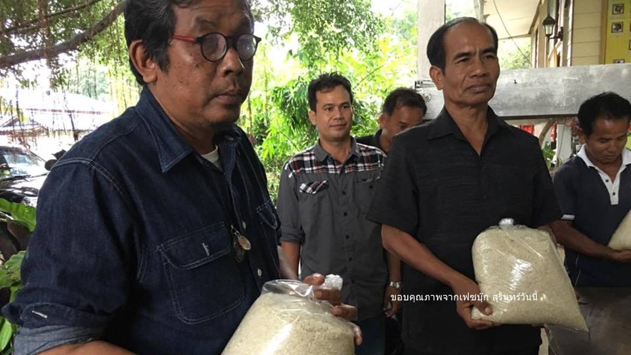 ชาวนาอีสานรวมกลุ่มขายข้าวทางออนไลน์หลังราคาข้าวตกต่ำ-อาจารย์ ม.เกษตรฯ ผุดโครงการ "ลูกชาวนา ได้เวลามาช่วยพ่อ"