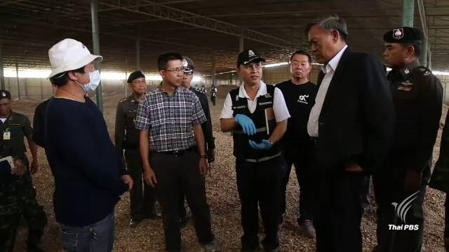 ป.ป.ท.เร่งตรวจสอบโกดังมันเส้น หลังพบเสื่อมสภาพ สิ่งปลอมปนจำนวนมาก