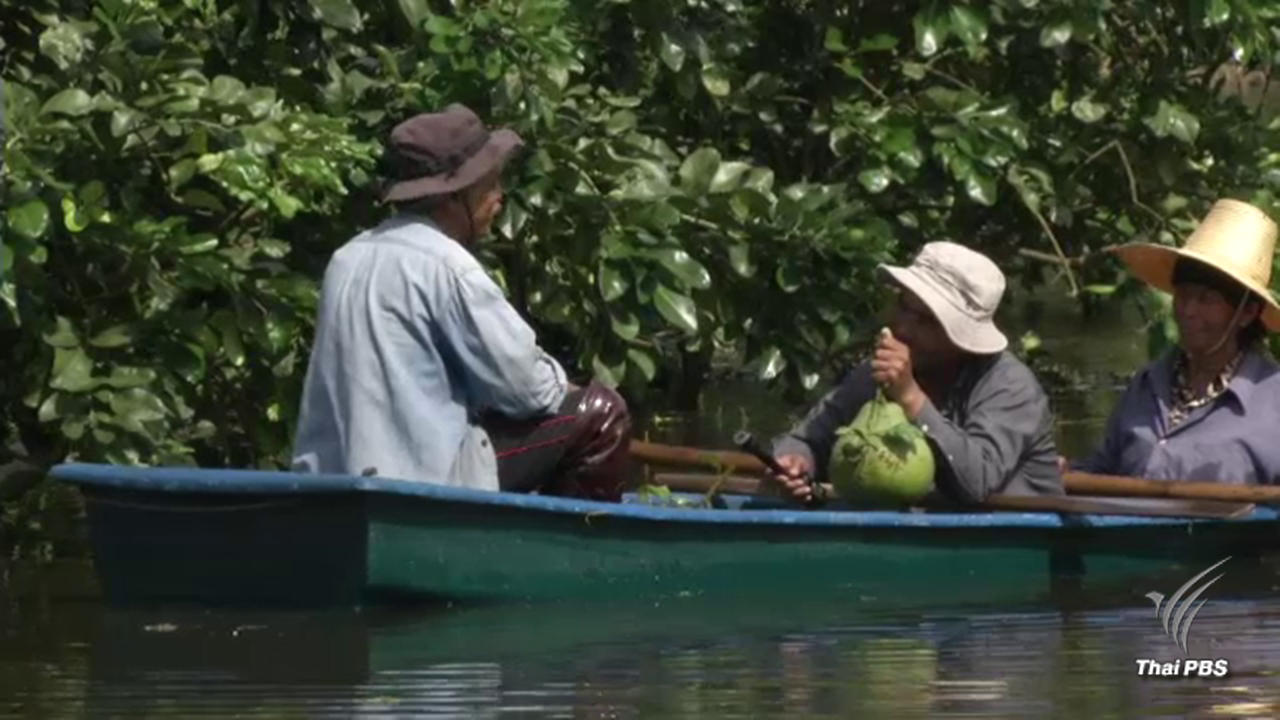 สั่งช่วย "สวนส้มโอทับทิมสยาม" 2,200 ไร่พ้นจมน้ำท่วม
