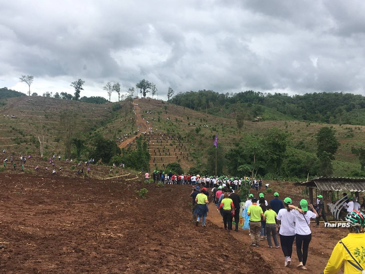 ทส.เตรียมฟื้นป่า 1 แสนไร่ตามศาสตร์พระราชา