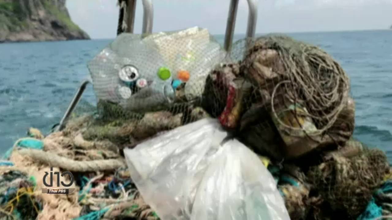 อาสาสมัครร่วม "ทำความสะอาดบ้านปลาเพื่อพ่อ" เก็บขยะใต้ทะเลเกาะพีพี