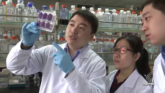 นักวิจัยจีนพบเชื้อ “ไวรัสซิกา” เสี่ยงทำชายเป็นหมัน