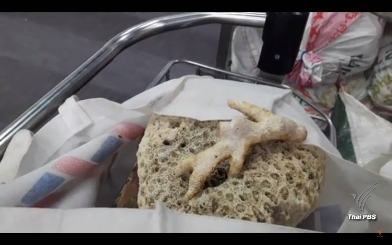 ตะลึงนักท่องเที่ยวขโมยเปลือกหอยรวมกันกว่า 1 ตัน