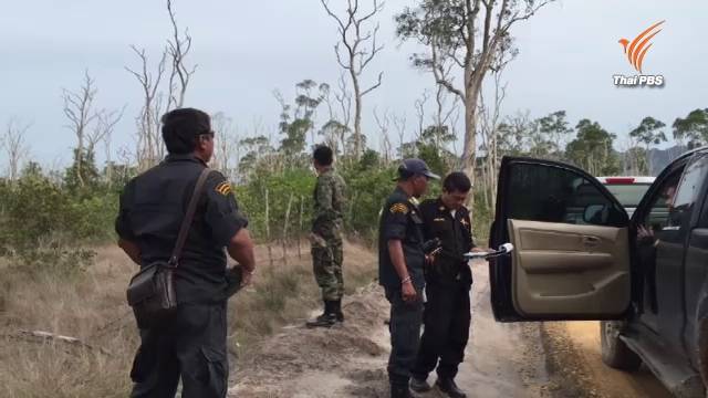 ยึดคืนรุกป่าสงวนฯ เกาะลันตาน้อย นายทุน-นักการเมืองปลูกปาล์มกว่าหมื่นไร่