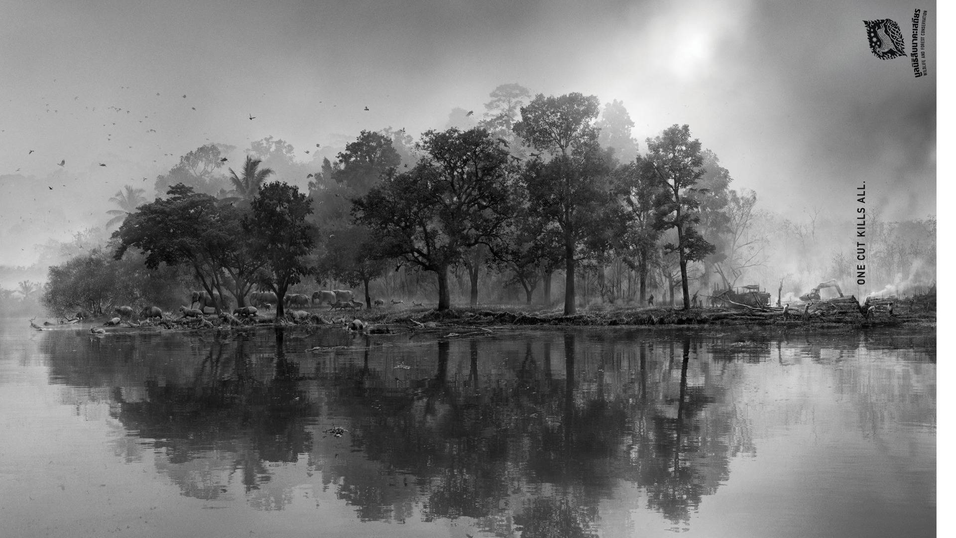งานโฆษณามูลนิธิสืบฯ ชุด ‘Tree’ เข้ารอบสุดท้ายมหกรรมโฆษณาฯที่เมืองคานส์มากถึง 16 รางวัล