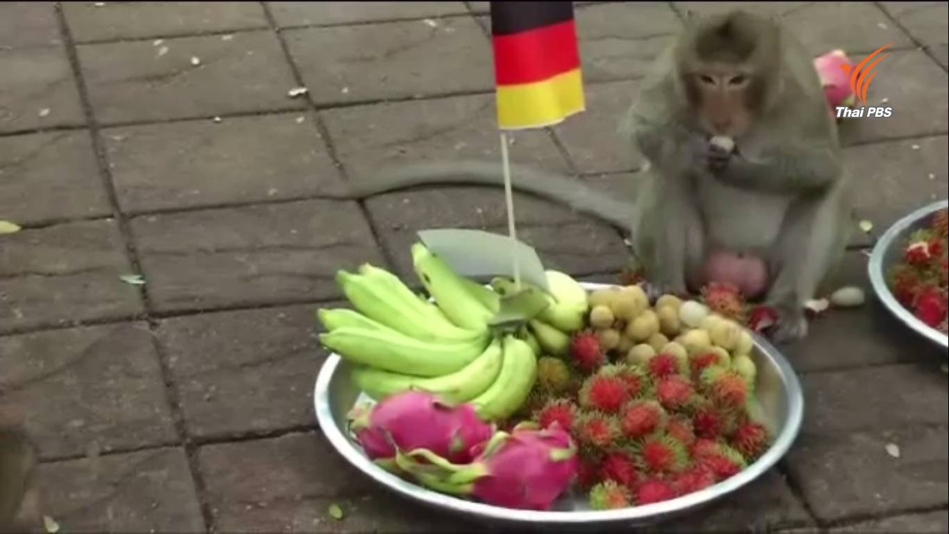 ลิงลพบุรีทำนาย "เยอรมนี"คว้าแชมป์ยูโร