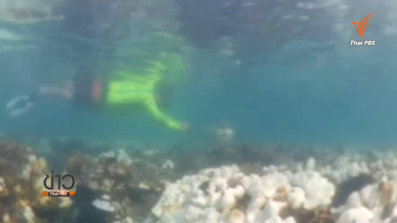 นักวิชาการชี้ทดลองแก้ปะการังฟอกขาวได้ผล
