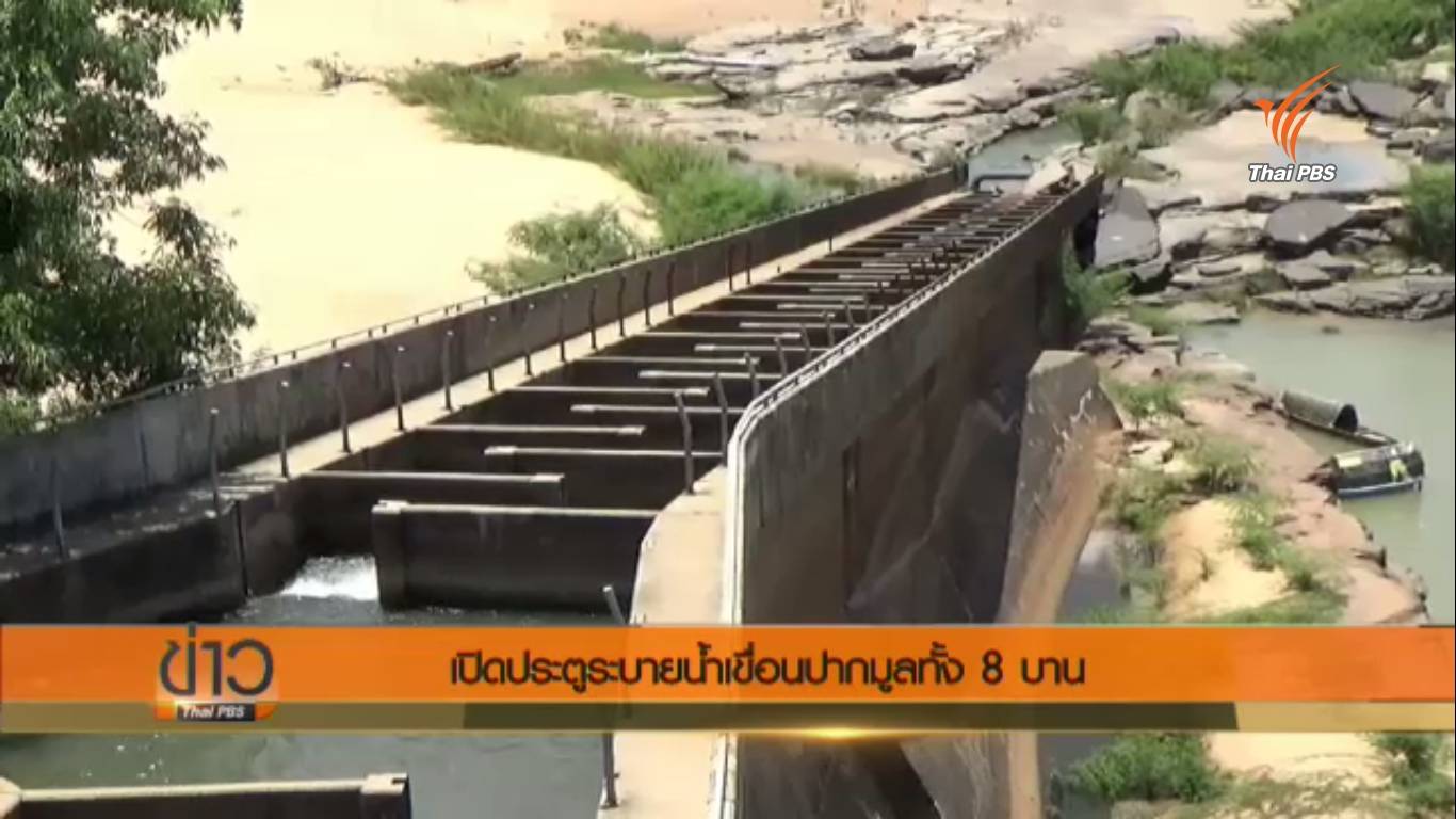กฟผ.เปิดประตูระบายน้ำเขื่อนปากมูลทั้ง 8 บาน